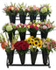 Blumenständer mit 12 Eimern gefüllt mit frischen Blumensträussen – perfekte Präsentation im Blumenladen